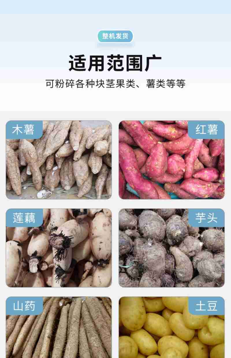 紫苏 供图